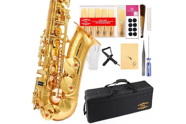 Glory Gold Laquer E Flat Alto Saxophone with 11reeds,8 Pads cushions,case,carekit