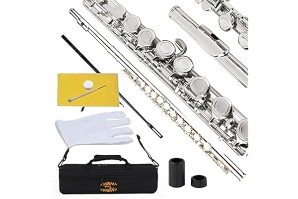 Glory Closed Hole C Flute With Case, Tuning Rod,Joint Grease and Cloth, Gloves, Nickel Siver