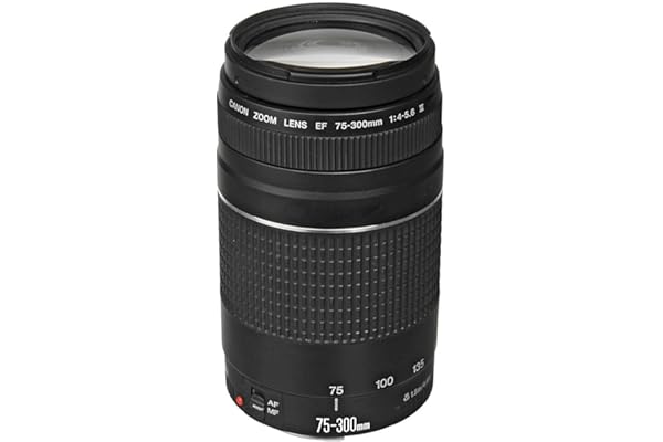 Canon EF 75-300mm f/4-5.6 III Telephoto Zoom Lens for Canon SLR Cameras, 6473A003 (Renewed)