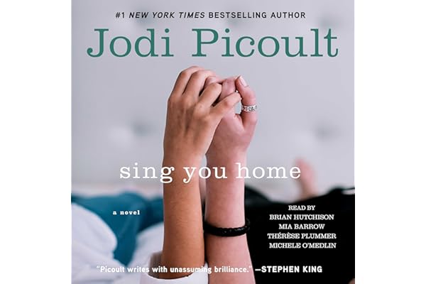Sing You Home: A Novel