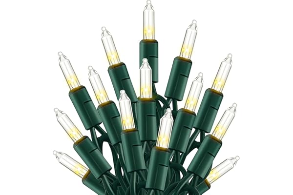 TW SHINE Warm White Christmas Lights Outdoor, 20FT 100 Count Incandescent Christmas Light Indoor, Waterproof Christmas Tree S