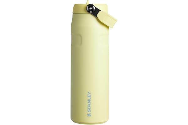 STANLEY IceFlow Flip Straw 2.0 Water Bottle 24 OZ | Built-In Straw with Larger Opening | Lightweight & Leak-Resistant | Insul