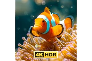 Aquarium Fish Underwater Wonders Screensaver for TV with Relaxing Music, Marine Sounds, Multiple Videos, and Deep Sea Life Vi