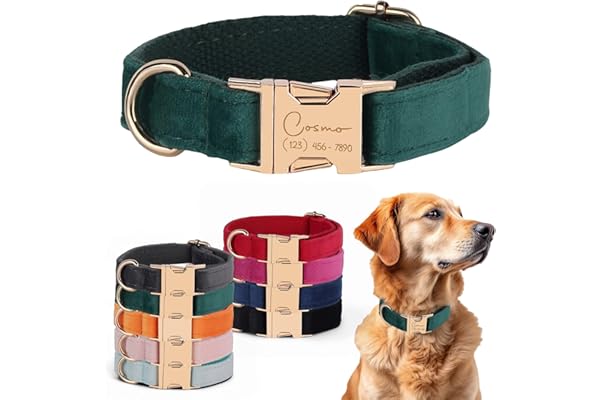 Velvet Harness Set, Gift for Pet Owners, Custom Dog Collar Personalized with Name and Phone Number, Custom Collar and Leash f